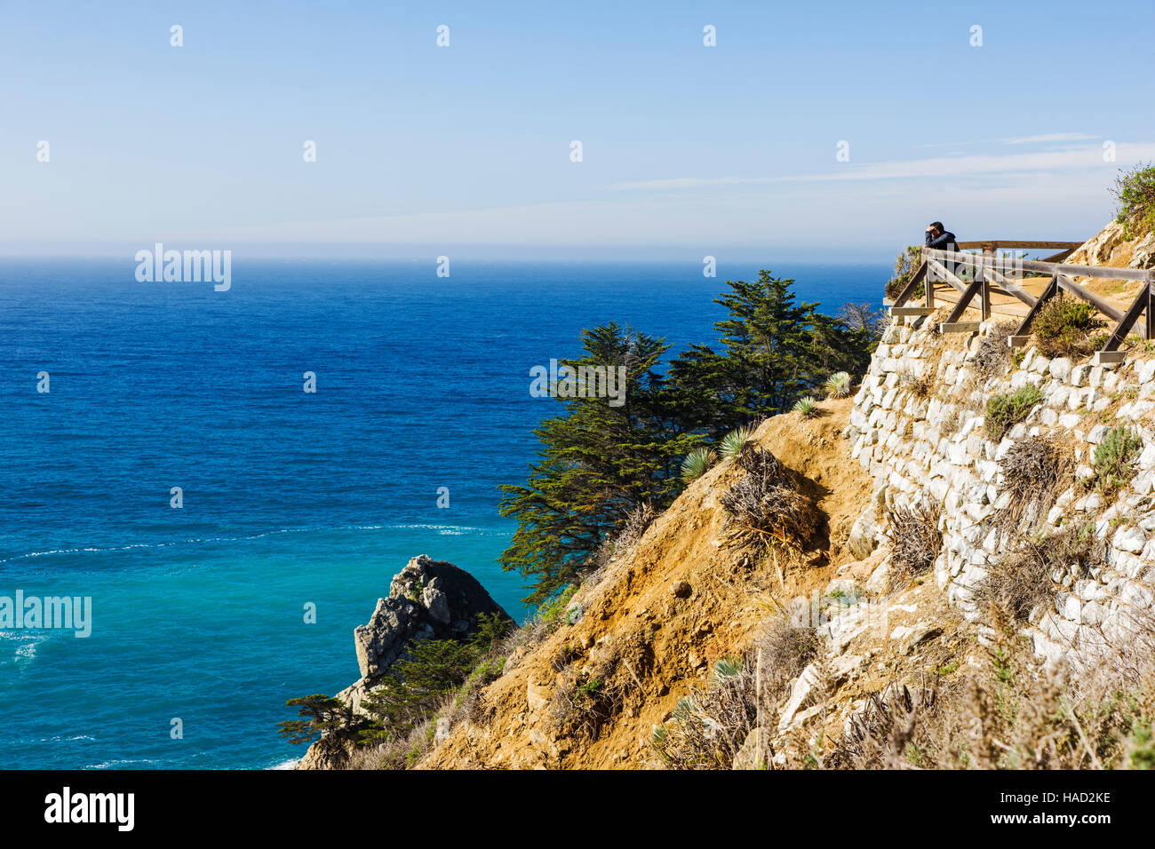Besucher schaut auf den Pazifischen Ozean, Julia Pfeiffer Burns State Park, Big Sur, Kalifornien, USA Stockfoto