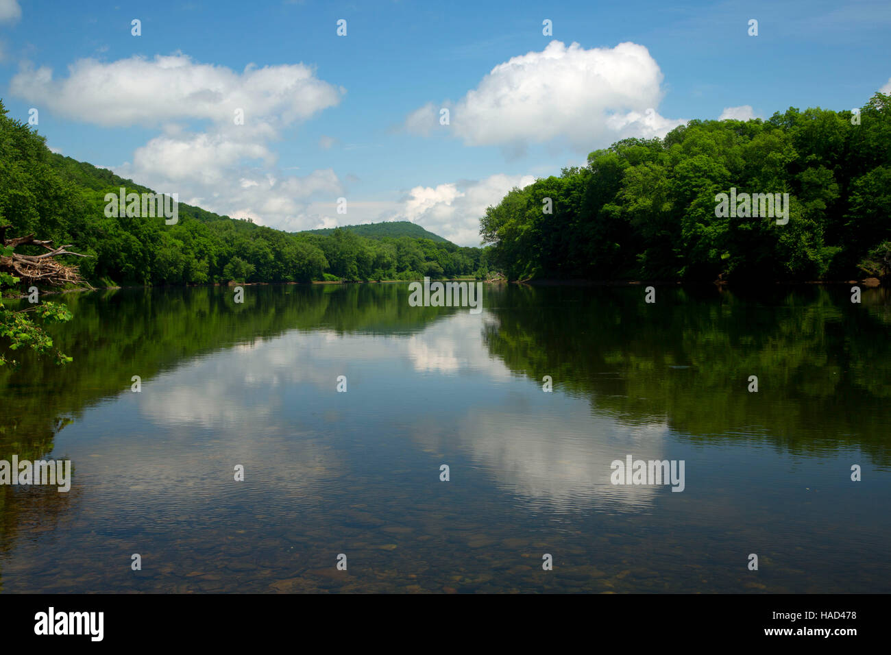 Delaware River, Delaware Water Gap National Recreation Area, Pennsylvania Stockfoto