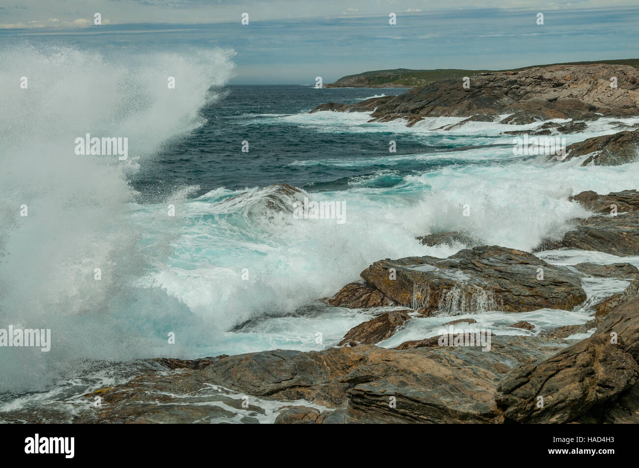 Zeigen Sie Ellen, Vivonne Bay, Kangaroo Island, South Australia, Australien Stockfoto