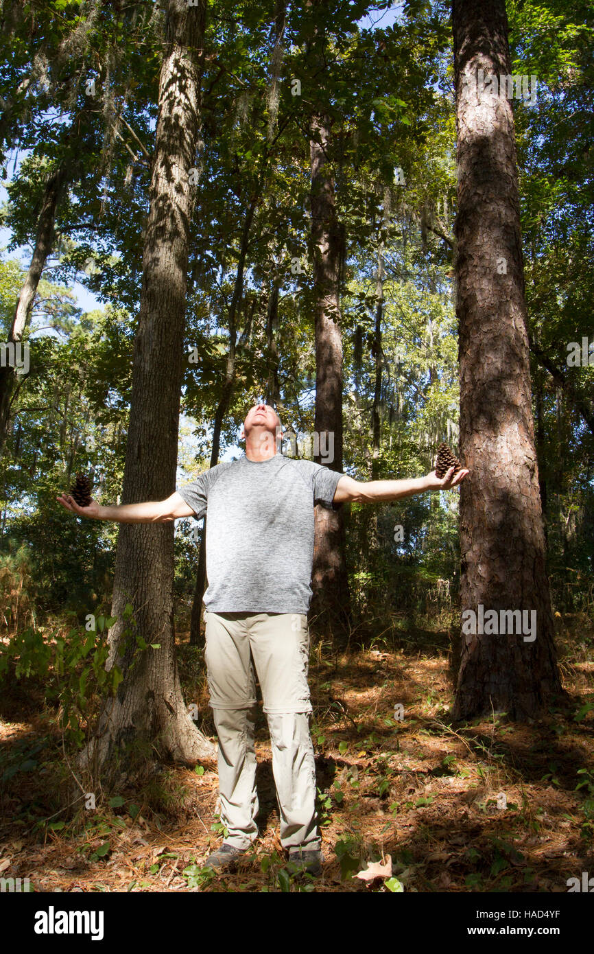 Mann im Wald Tannenzapfen beim Kontakt mit der Natur zu halten. Stockfoto