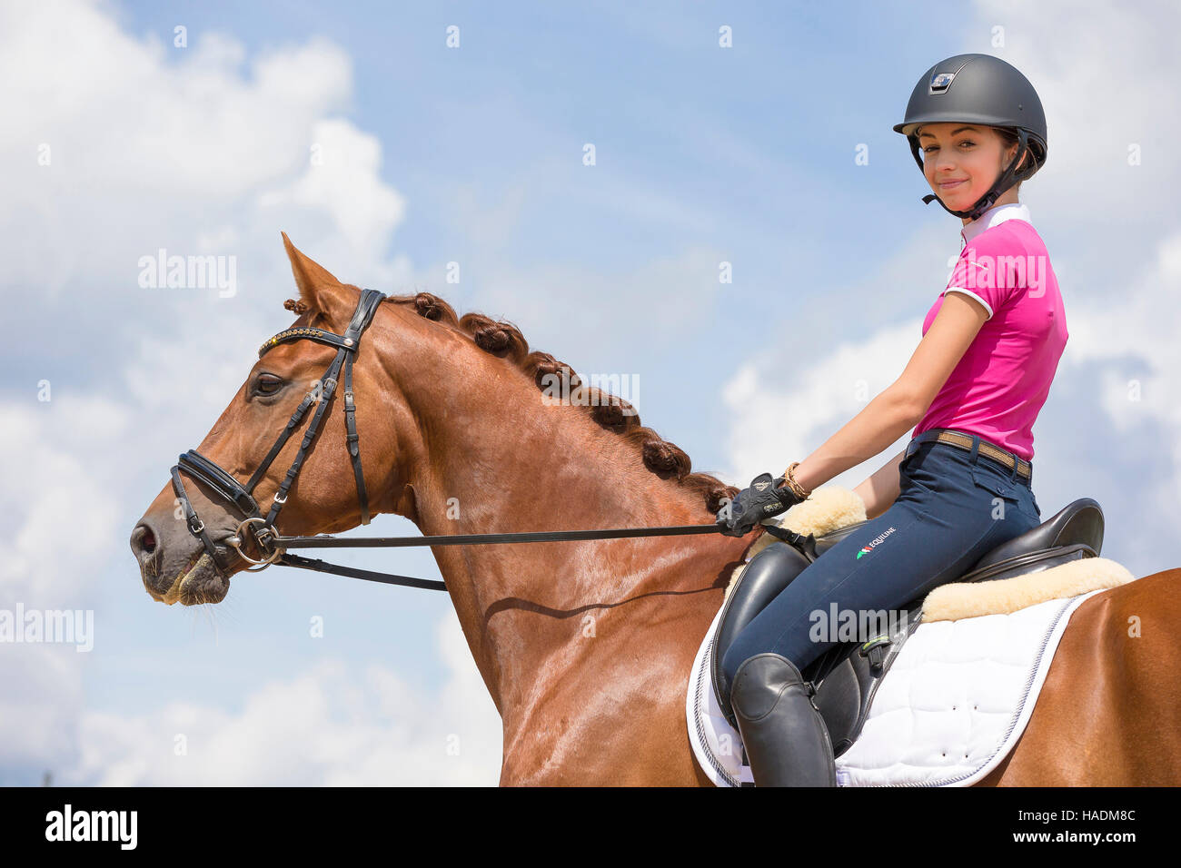 Württemberg Warmblut. Junge Reiter auf Fuchswallach. Deutschland Stockfoto