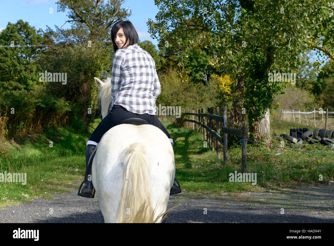 junge schöne Brünette Frau White Reitpferd Stockfoto