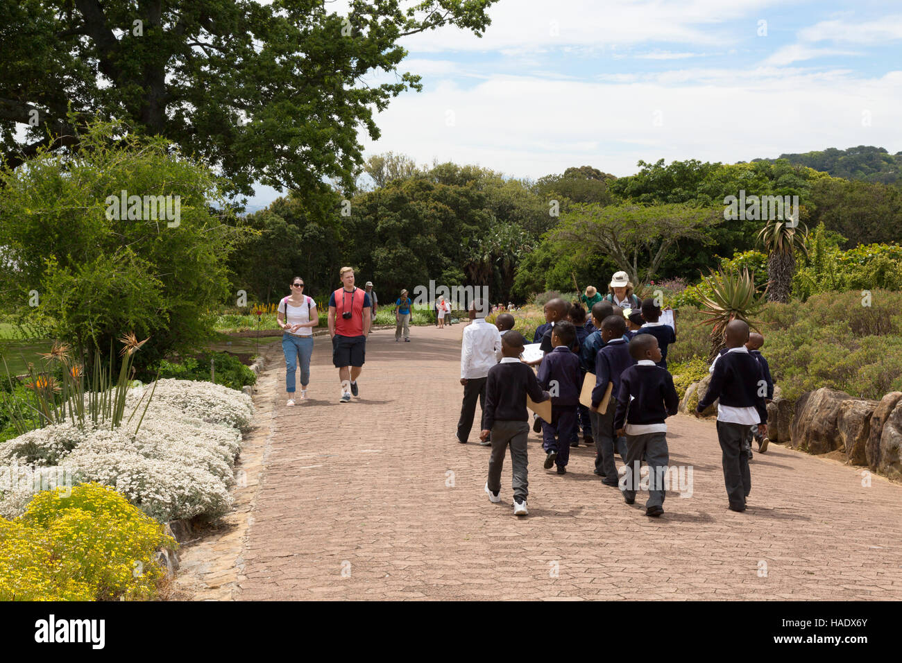Passanten in Kirstenbosch Botanical Gardens, Cape Town, Südafrika Stockfoto