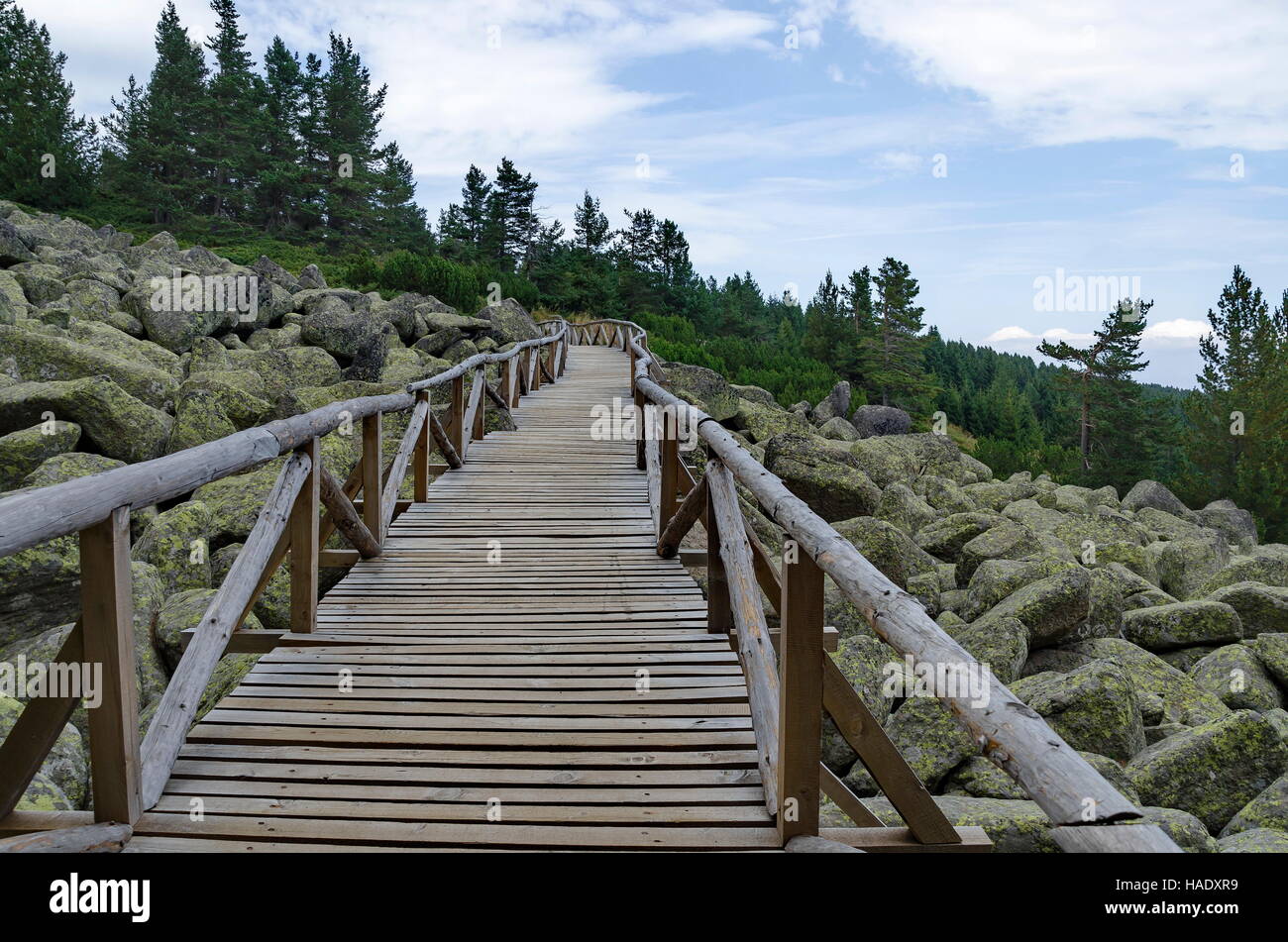 Einzigartige steinerne Fluss mit großen Granitsteinen oder Moräne und Holzbrücke in den Vitosha Mountain National Park, Bulgarien Stockfoto