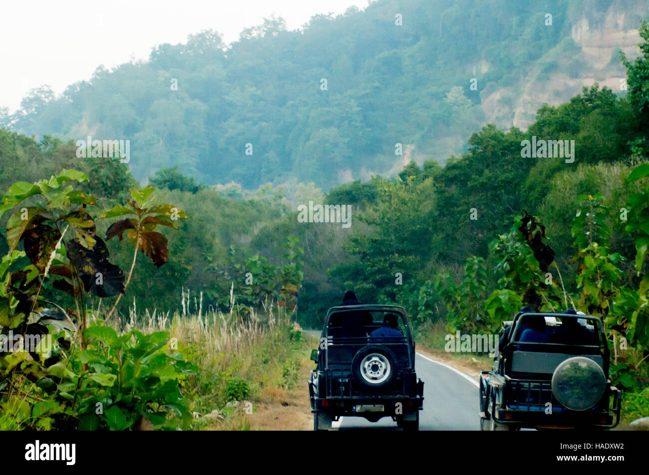 Öffnen Off-Road Jeeps auf offener Straße in der Mitte des Waldes in Jim Corbett Park in Himachal. Diese häufig nehmen Touristen auf Jungle Safaris Stockfoto