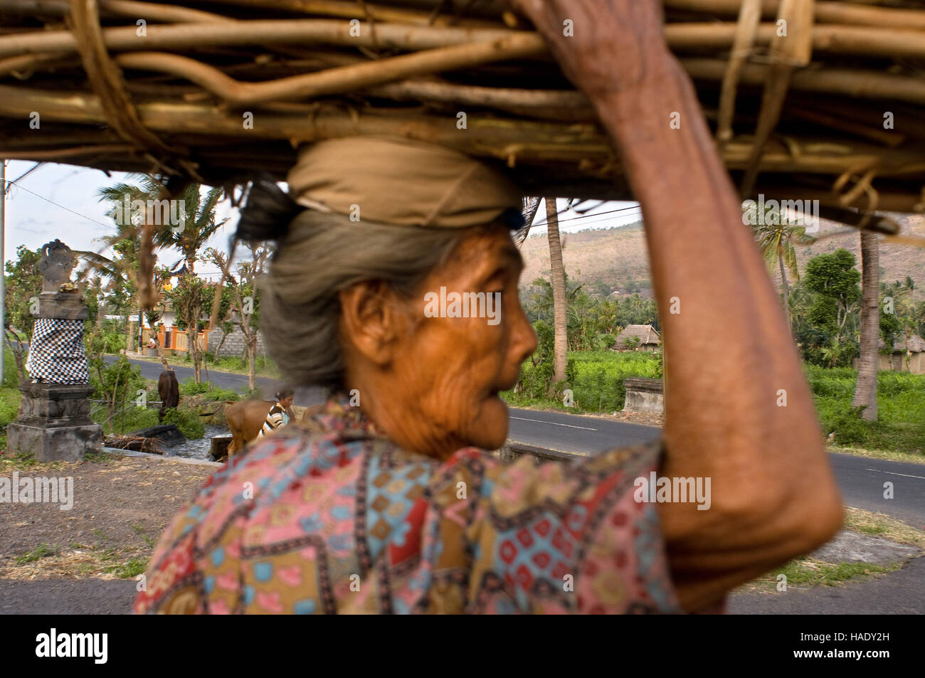 Eine alte Frau sammelt Feuerholz entlang der Straße an der Fischerei Dorf Amed Ost Bali. Amed ist ein lange Küstenstreifen der Fischerdörfer in Ea Stockfoto