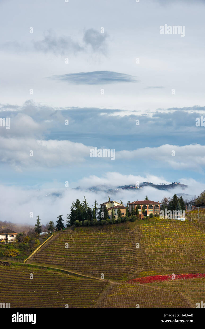 Herbstliche Ansicht von Serralunga d ' Alba Hügeln im Bereich Barolo Langhe, Piemont, Italien Stockfoto