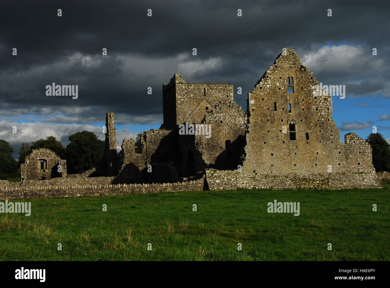 Alten Osten Irlands, zerstörten Abtei Stockfoto