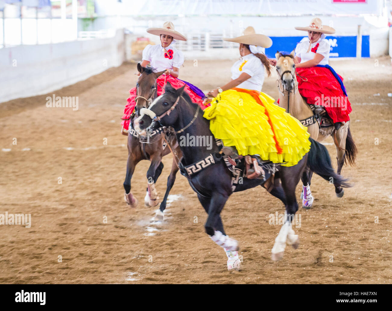 Charras Teilnahme am 23. internationalen Mariachi & Charros Festival in Guadalajara Mexiko Stockfoto