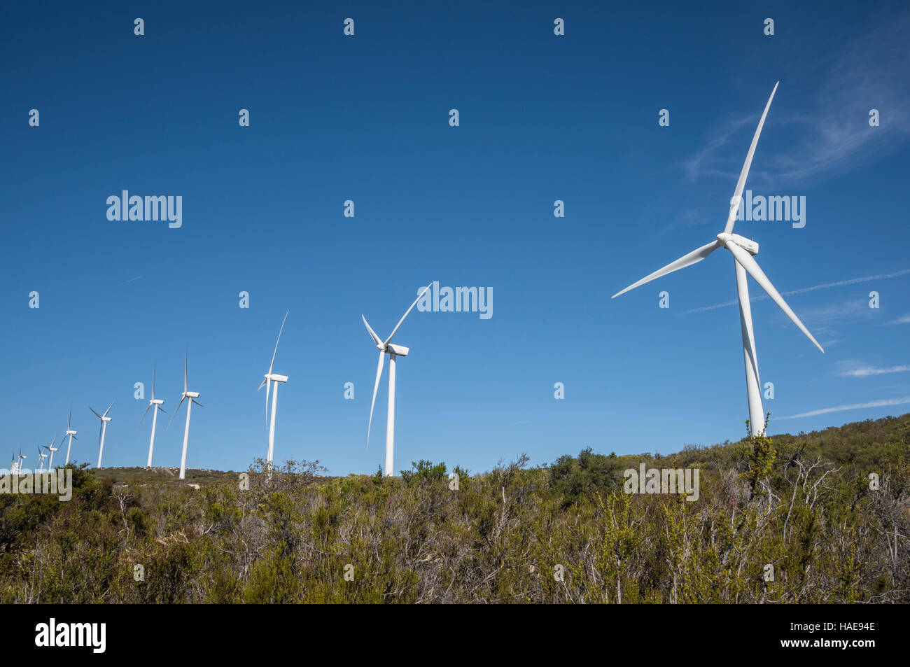 Kumeyaay Wind Power Projekt stromerzeugende Turbime Windpark am Tecate Kluft, Southern California Stockfoto