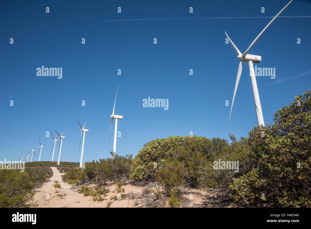 Kumeyaay Wind Power Projekt stromerzeugende Turbime Windpark am Tecate Kluft, Southern California Stockfoto
