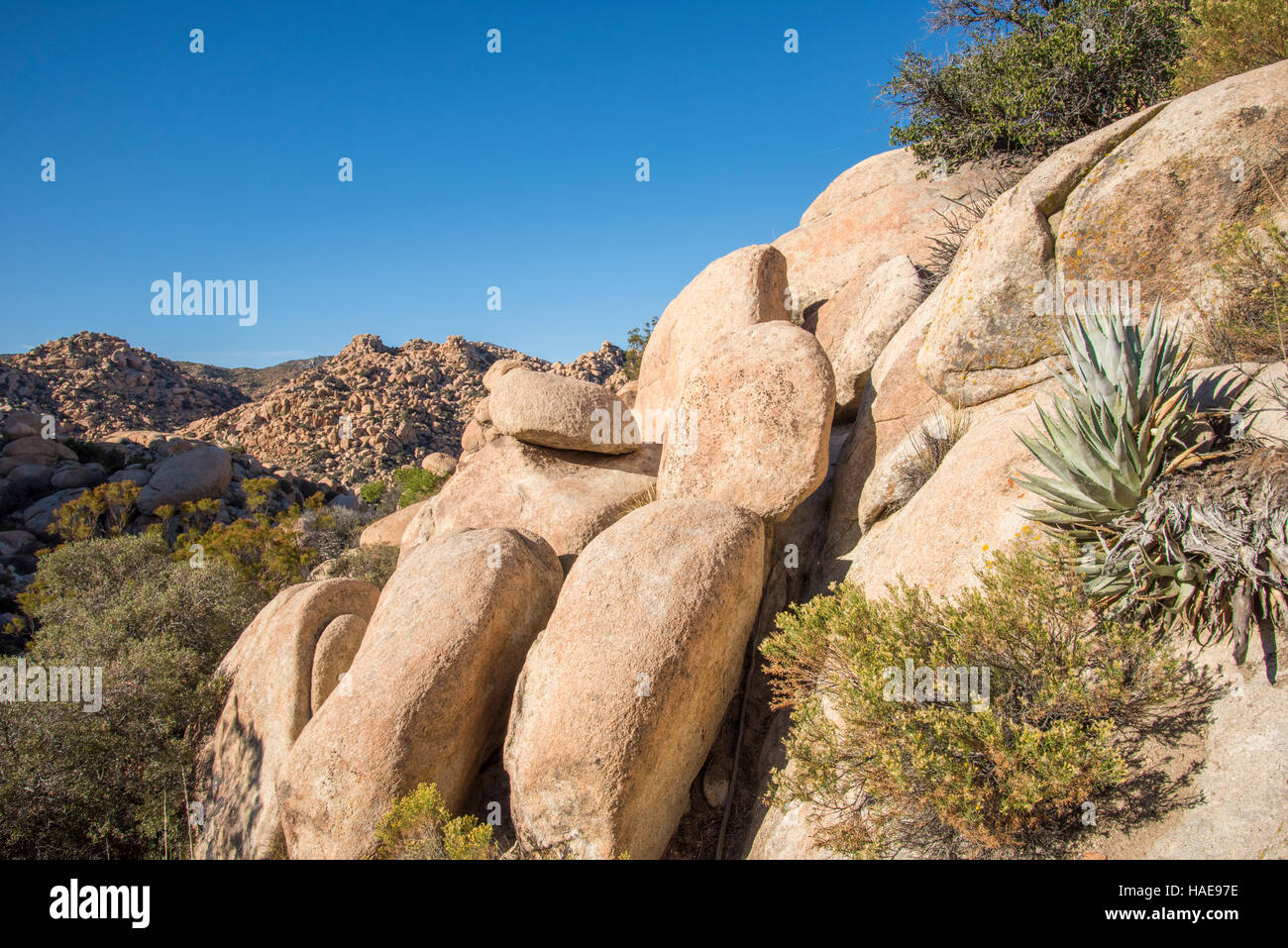 Kumeyaay Autobahn, Kalifornien hohe Dessert westlich von San Diego an der mexikanischen Grenze Stockfoto