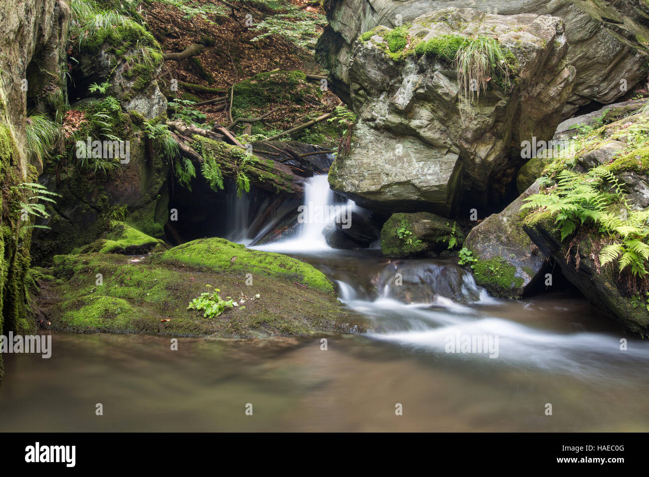 Stein Hüterin der Wasserfälle - bizarre Felsen auf der Bank von resov Wasserfälle Stockfoto