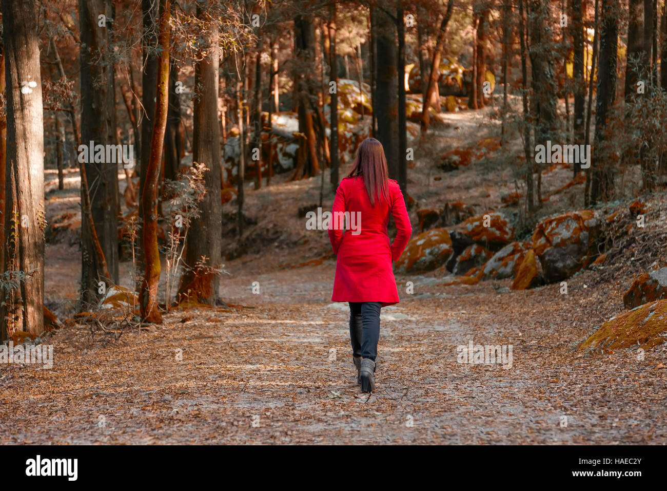 Junge Frau zu Fuß entfernt allein auf einem Waldweg, tragen einen roten Mantel Stockfoto