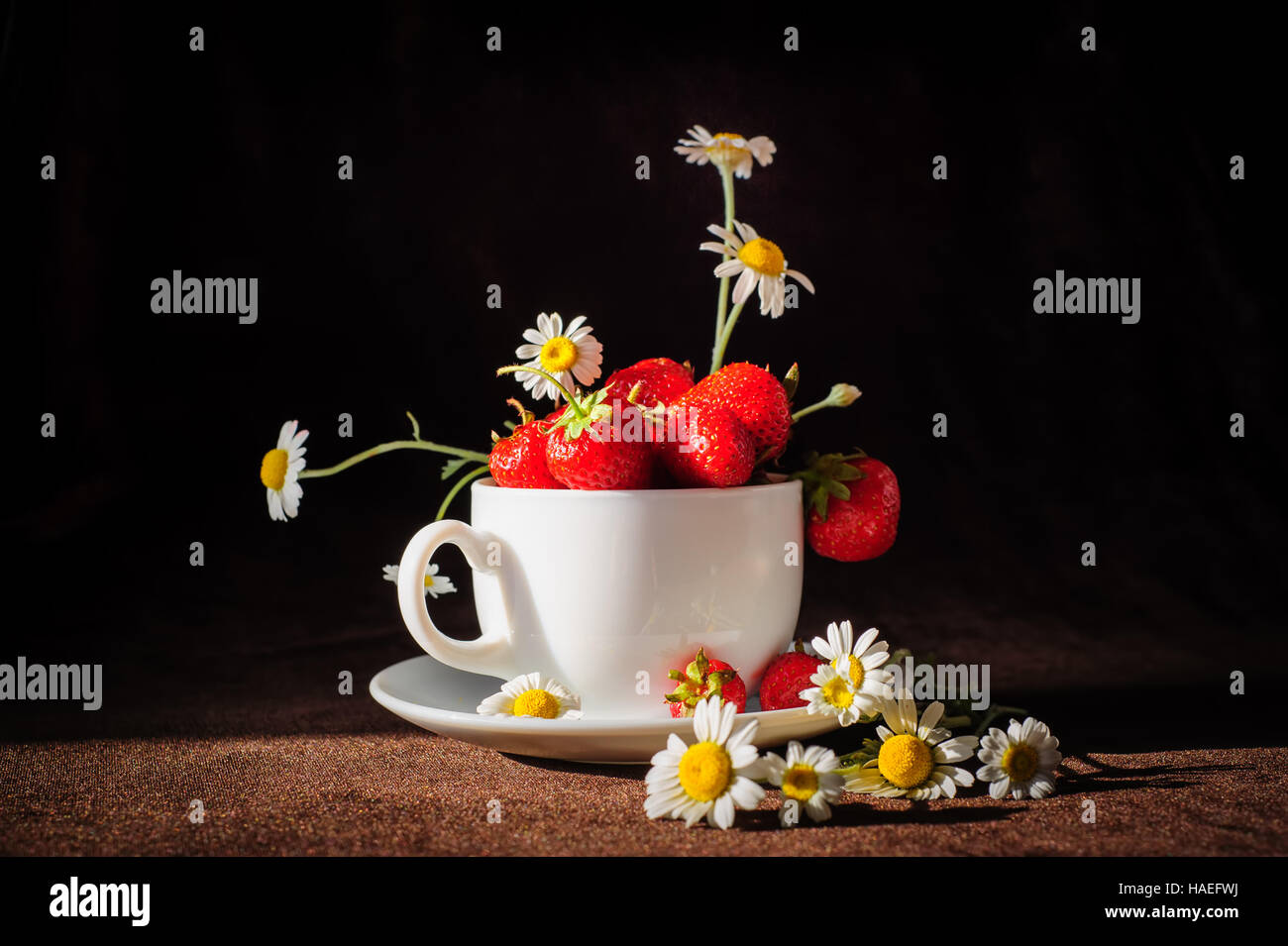 Kamillen und Erdbeeren in der Tasse Stockfoto