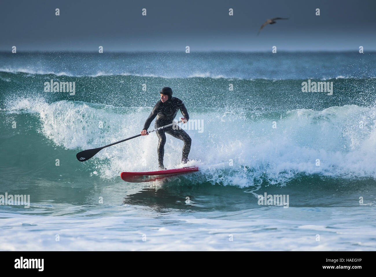 Ein Paddel boarder surft auf den Fistral in Newquay, Cornwall. Stockfoto