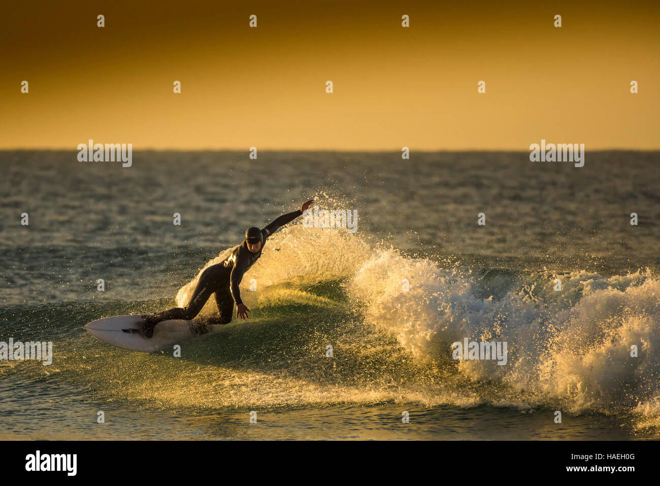 Surfen bei Sonnenuntergang am Fistral in Newquay, Cornwall. Stockfoto