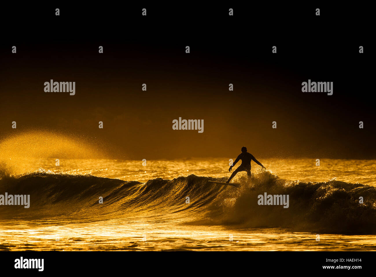 Surfen während einer spektakulären goldenen Sonnenuntergang am Fistral in Newquay, Cornwall. VEREINIGTES KÖNIGREICH. Stockfoto