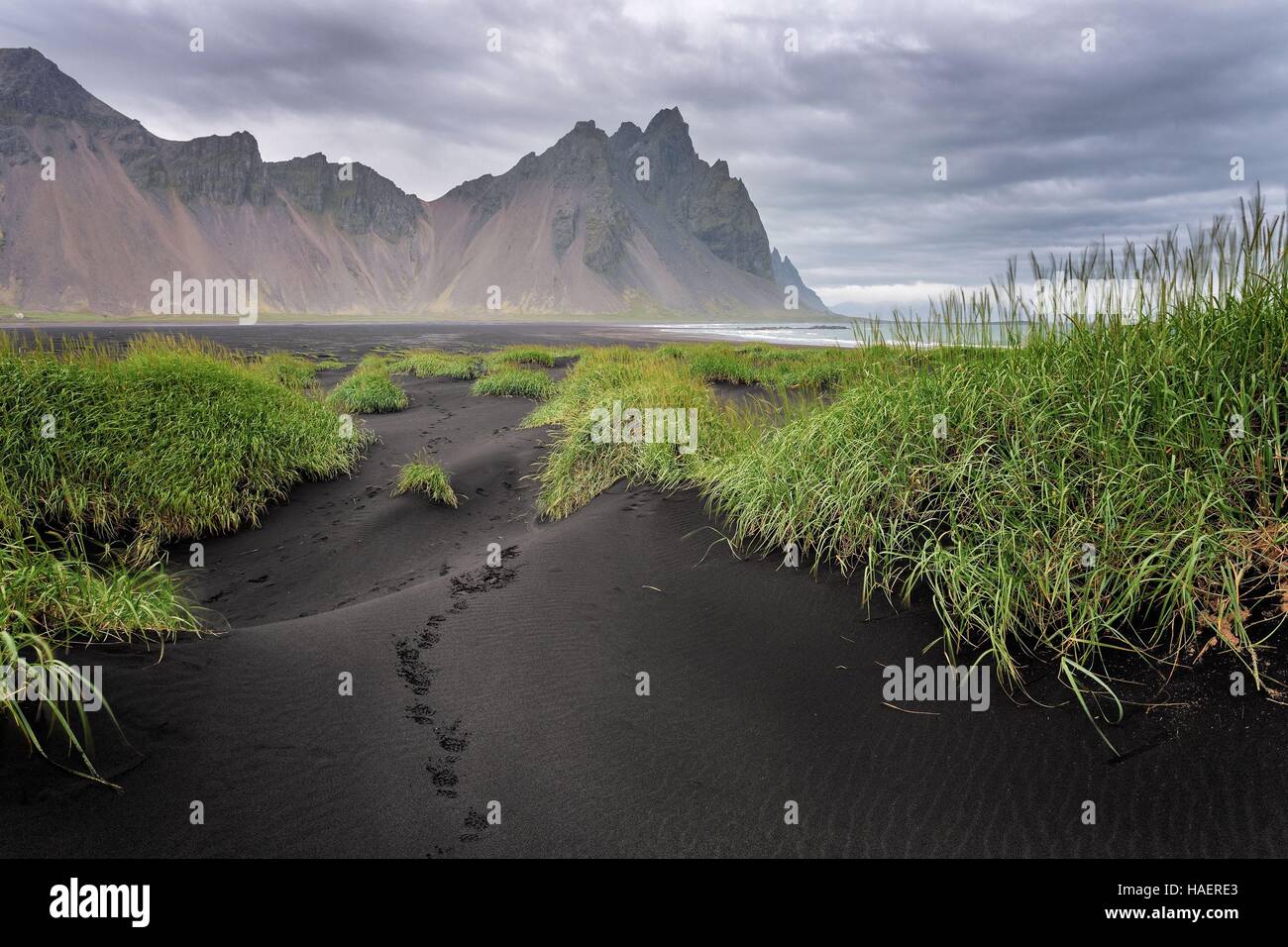 LANDSCHAFTEN VON ISLAND Stockfoto