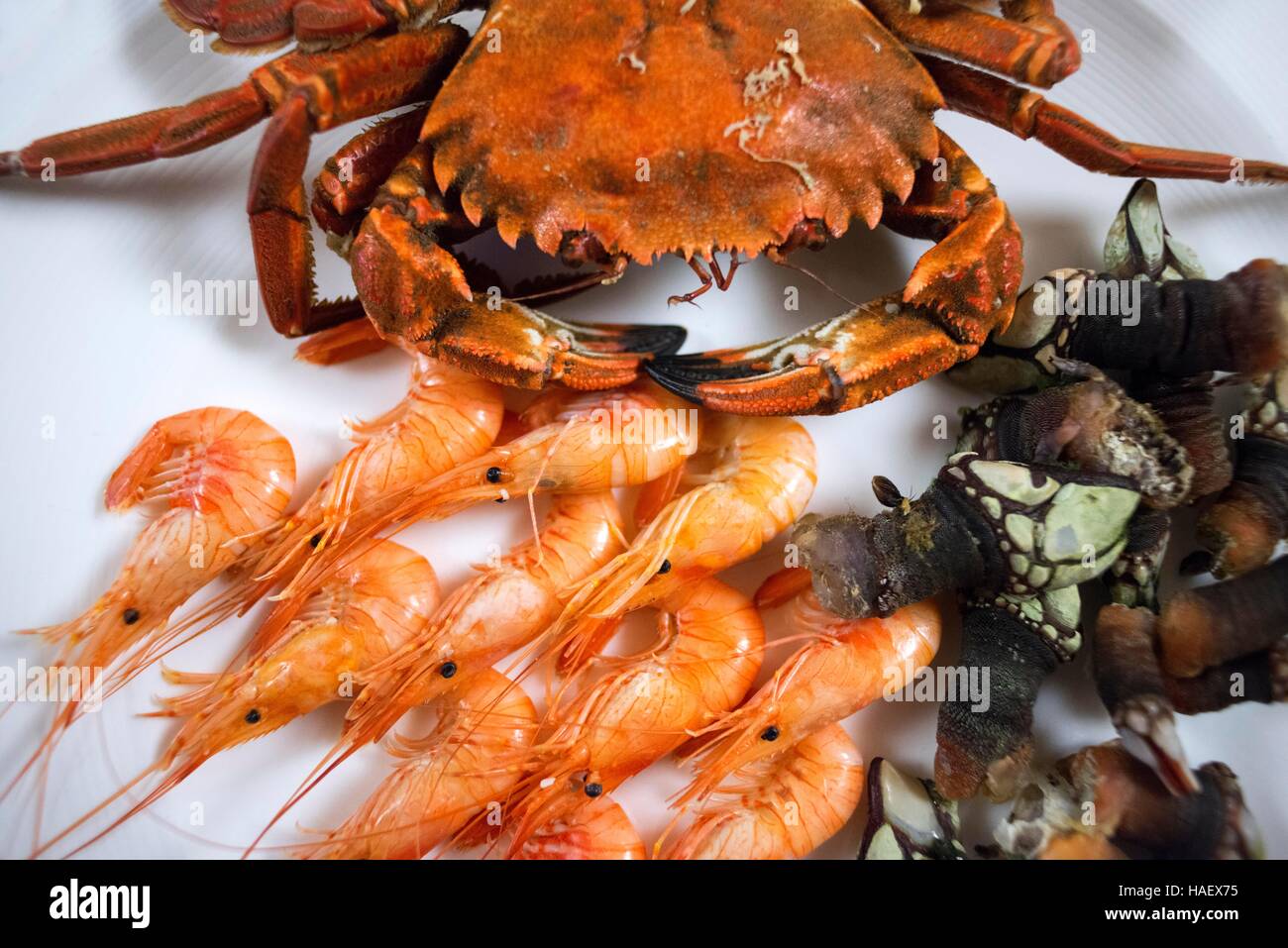 Gericht aus Fisch und Meeresfrüchte in Louzao Restaurant, Viveiro, Lugo, Galizien, Spanien. Eine der Stationen der Transcantabrico Gran Lujo Luxus zu trainieren. Stockfoto