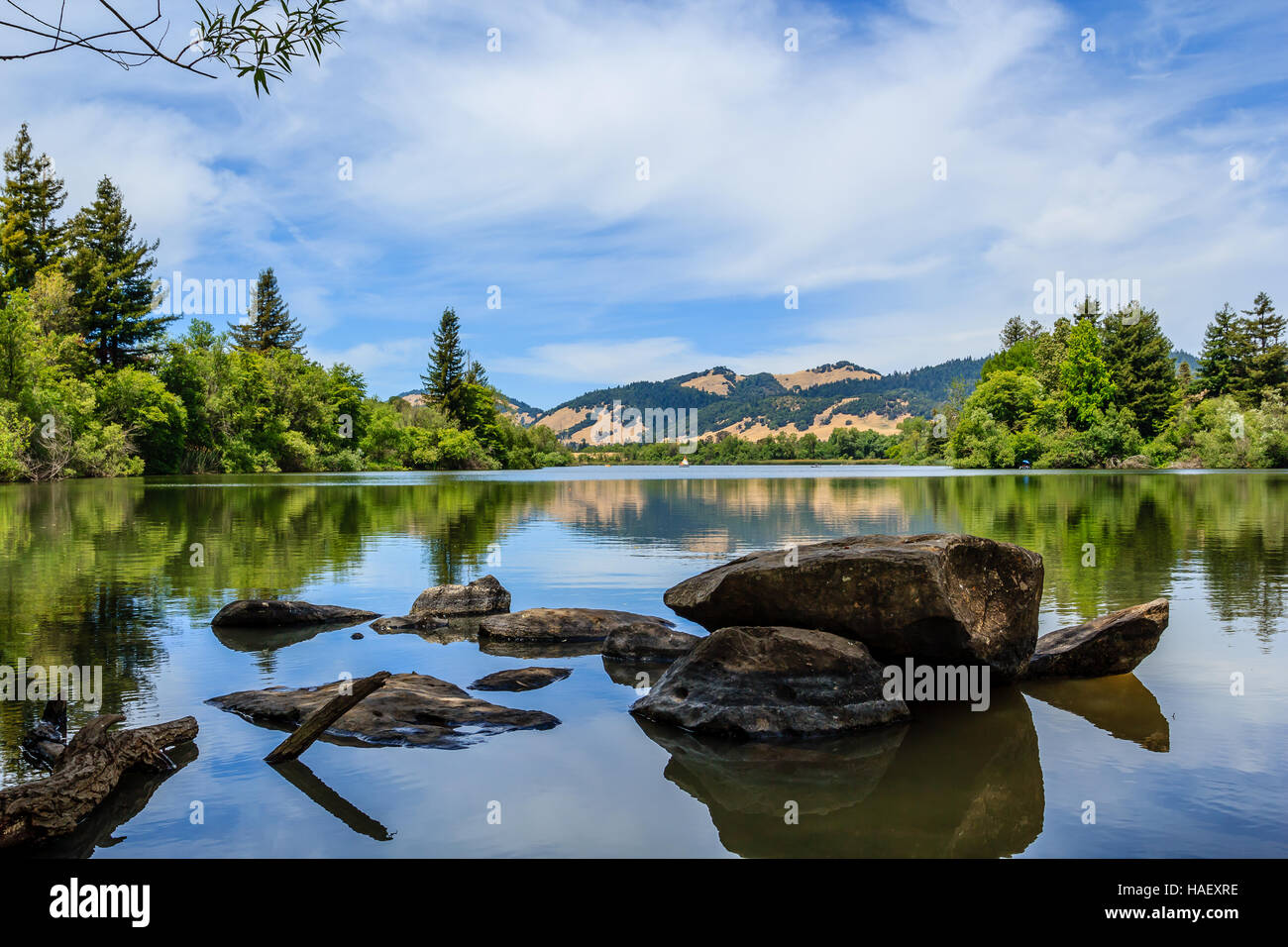 Spring Lake, Sonoma County, Kalifornien, Stockfoto