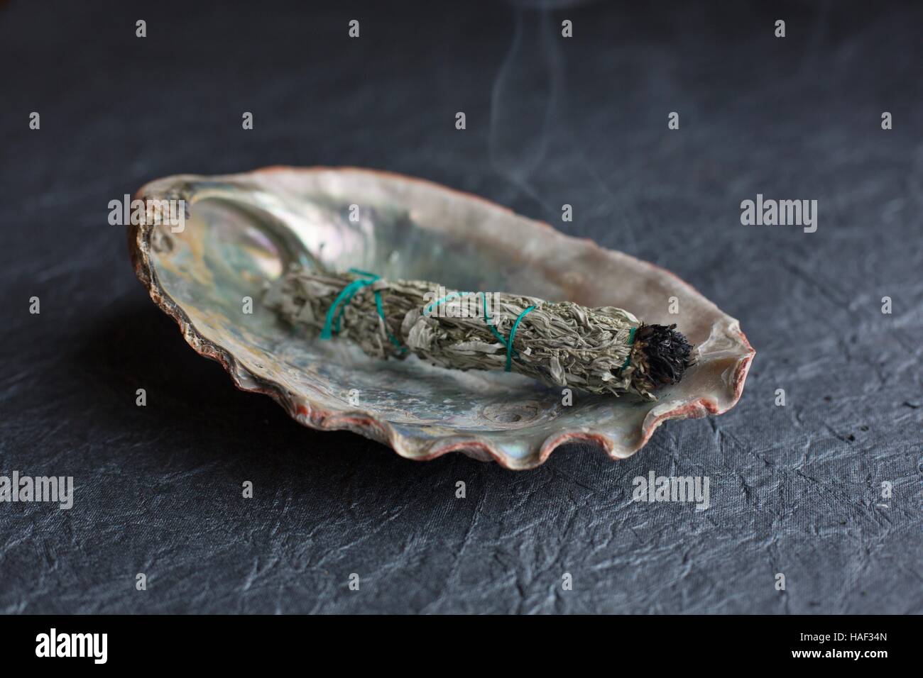 Ein Bündel aus Salbei brennen in Abalone-Muschel. Stockfoto
