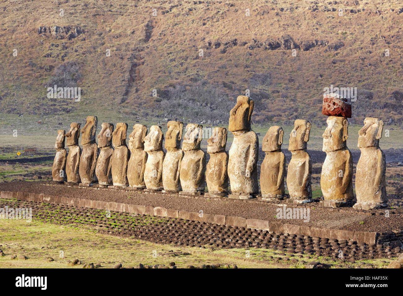 Ahu Tongariki Moai, Osterinsel Stockfoto