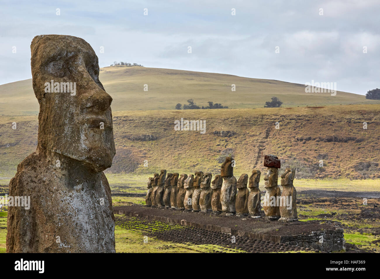 Reisen Moai, Ahu Tongariki, Osterinsel Stockfoto