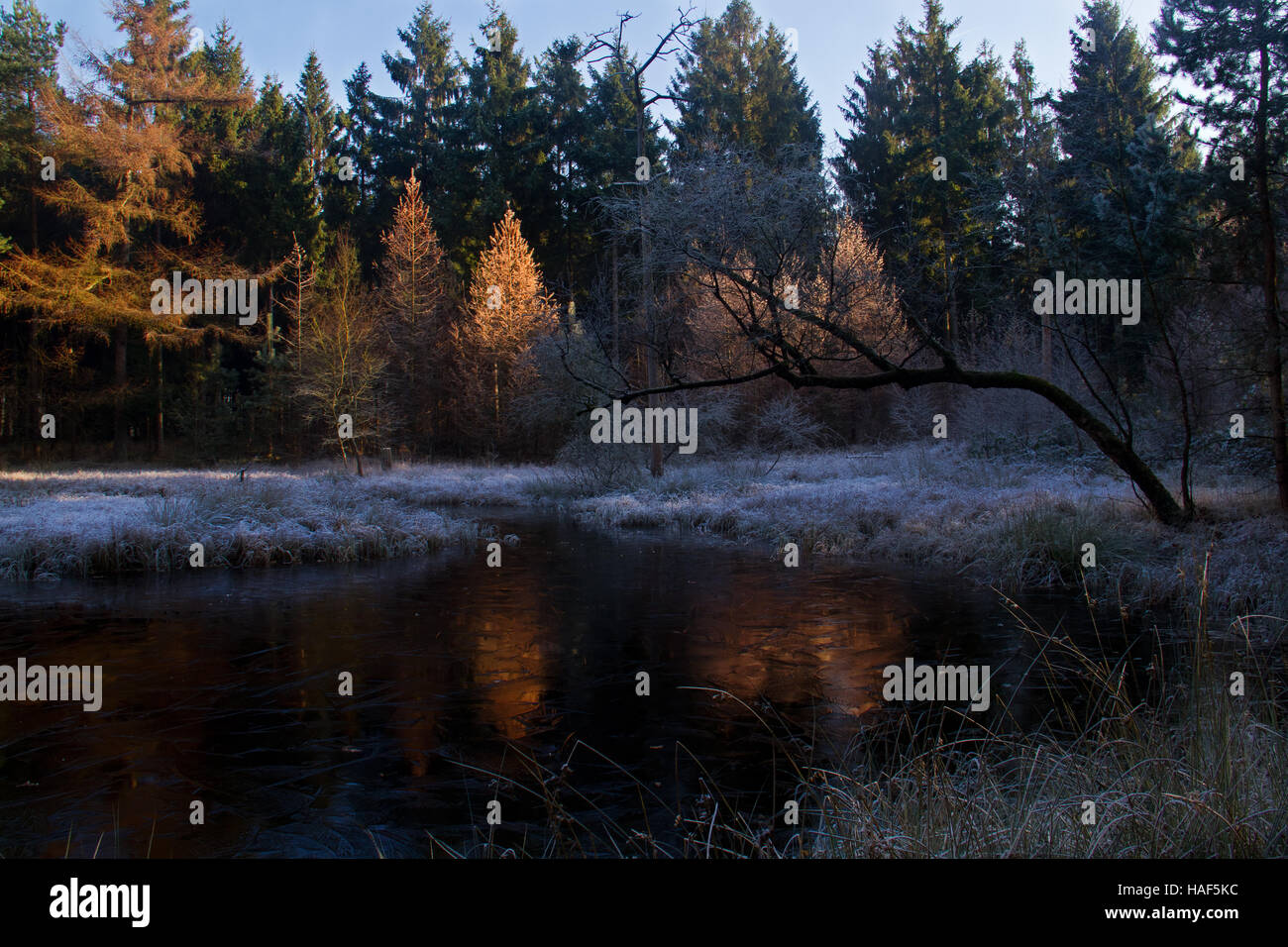Dunkler See im Wald, Bäume in herbstlichen Farben reflektieren Stockfoto