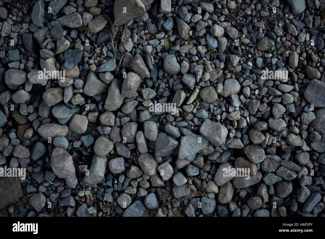 Vielen kleine Steinen bedeckt Stockfoto