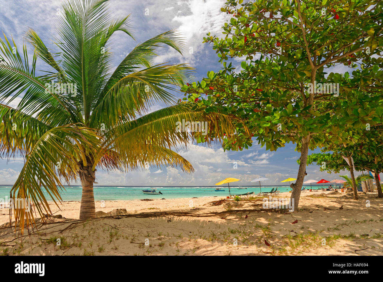Worthing Strand in Worthing, zwischen St. Lawrence Gap und Bridgetown, Barbados, Caribbean. Stockfoto