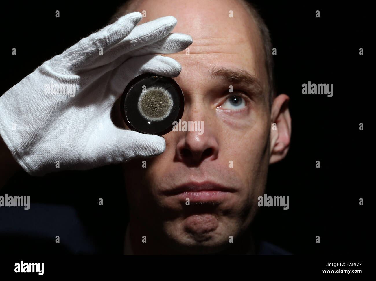 Joseph Marshall, Leiter der Special Collections an der University of Edinburgh, nimmt einem genaueren Blick auf einer Petrischale, die eine Probe von Schimmel, die Alexander Fleming hält, die Antibiotika macht von Penicillin zu entdecken, die eines der Elemente ist aktiviert, dass die Funktionen in "Verzeichnis der Sammlungen", ein neu veröffentlicht Leitfaden zur historischen Sammlungen der Universität Edinburgh. Stockfoto