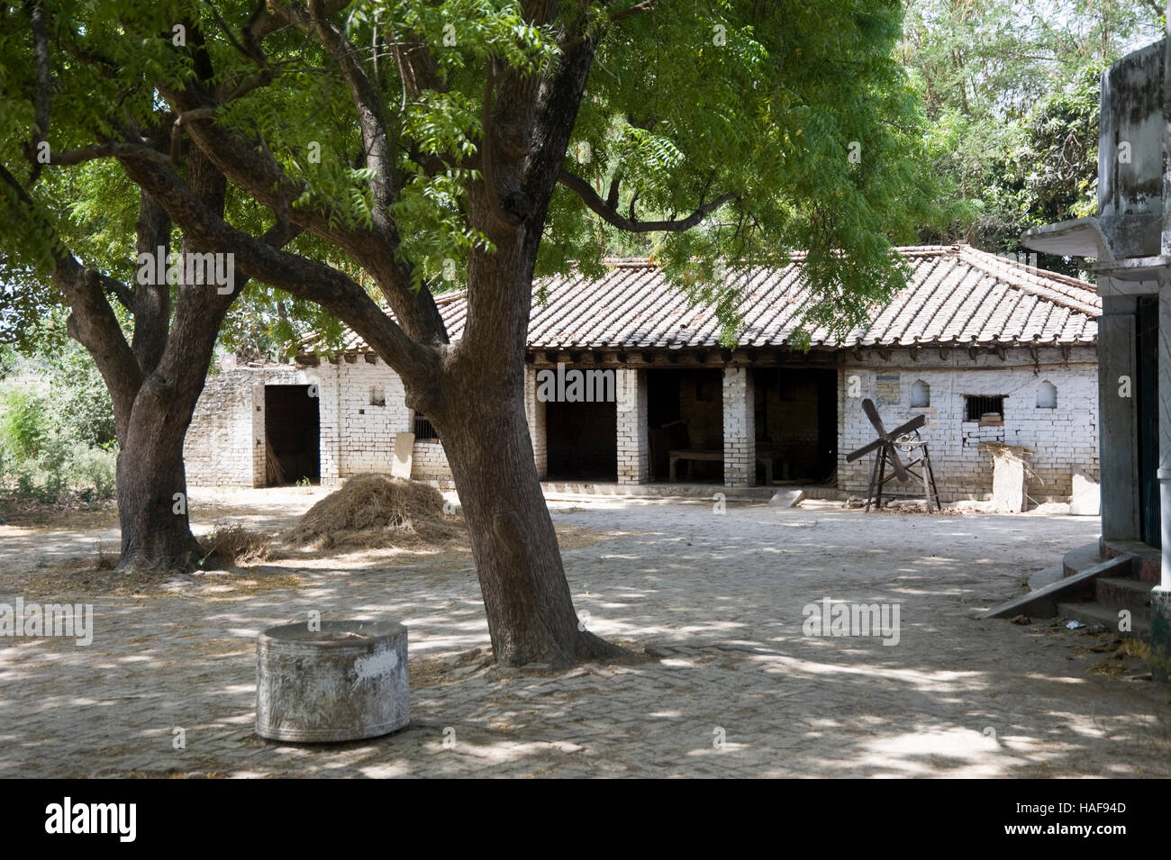 Neem-Baum und Devpur Dorfhaus in Jaunpur Uttar Pradesh, Indien Stockfoto