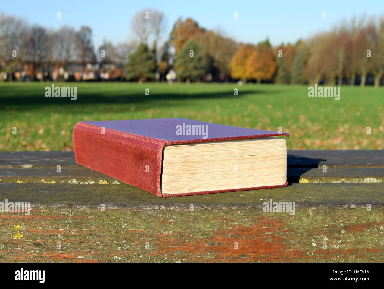 Antikes Buch auf der Bank im Park an einem sonnigen Tag Stockfoto