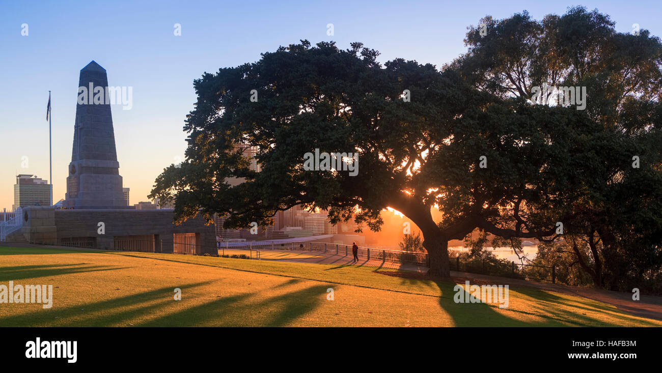 Kings Park bei Sonnenaufgang. Perth, Western Australia, Australia Stockfoto