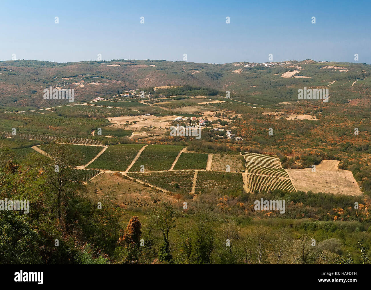 Blick auf das Tal in der Nähe der Stadt Motovun. Istrien. Kroatien Stockfoto