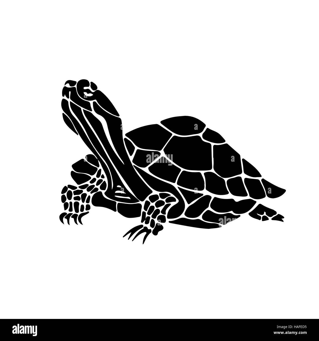 Vektor hand gezeichnete Darstellung der Schildkröte. Schwarze Silhouette der Schildkröte. Stock Vektor