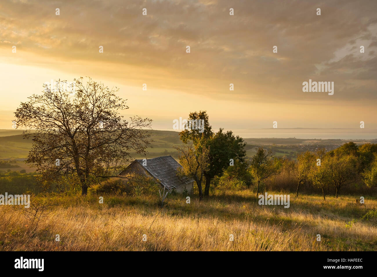 Balaton, Nivegy Tal mit Weinkeller bei Sonnenaufgang in Ungarn Stockfoto