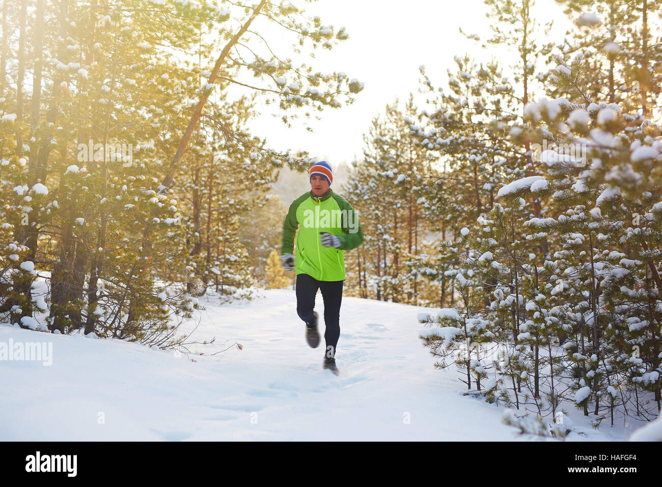 Energetische Ausbildung an Wintertag im Wald Läufer Stockfoto