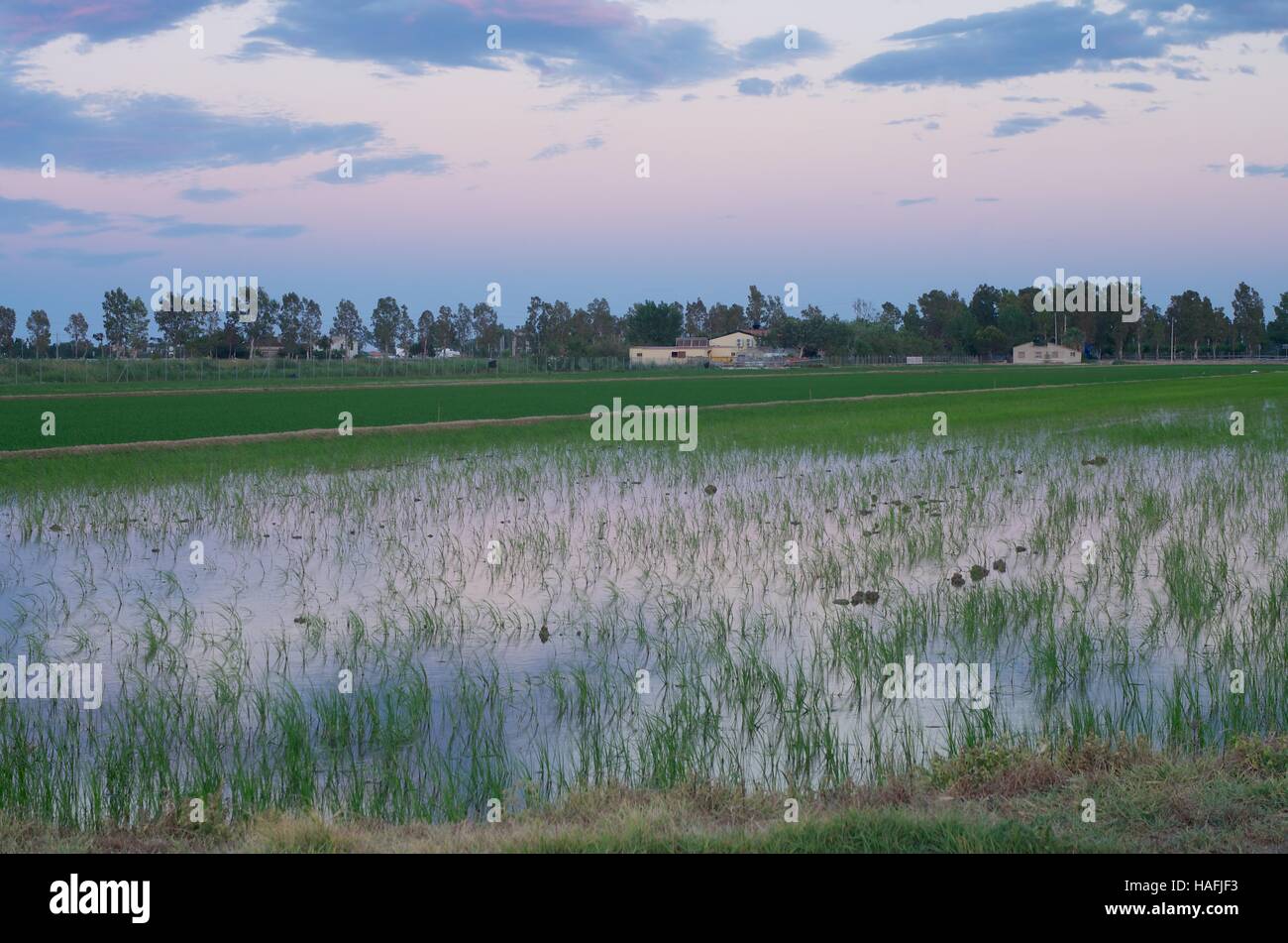 Landschaften des Ebro Delta, Spanien bei Sonnenuntergang Stockfoto