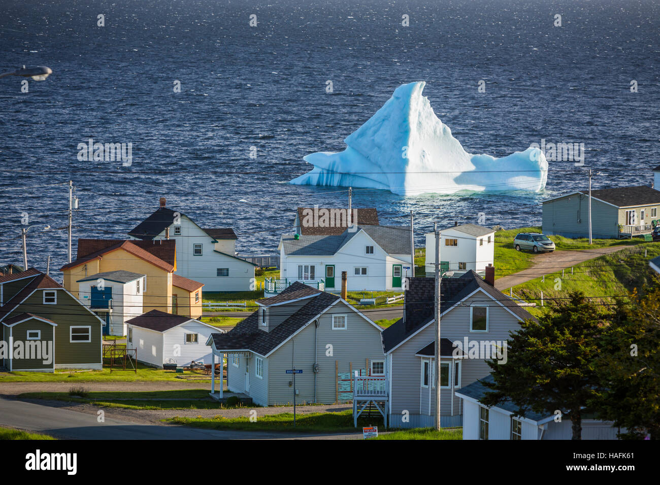 Ein Eisberg in den Gewässern vor Twillingate, Neufundland und Labrador, Kanada. Stockfoto