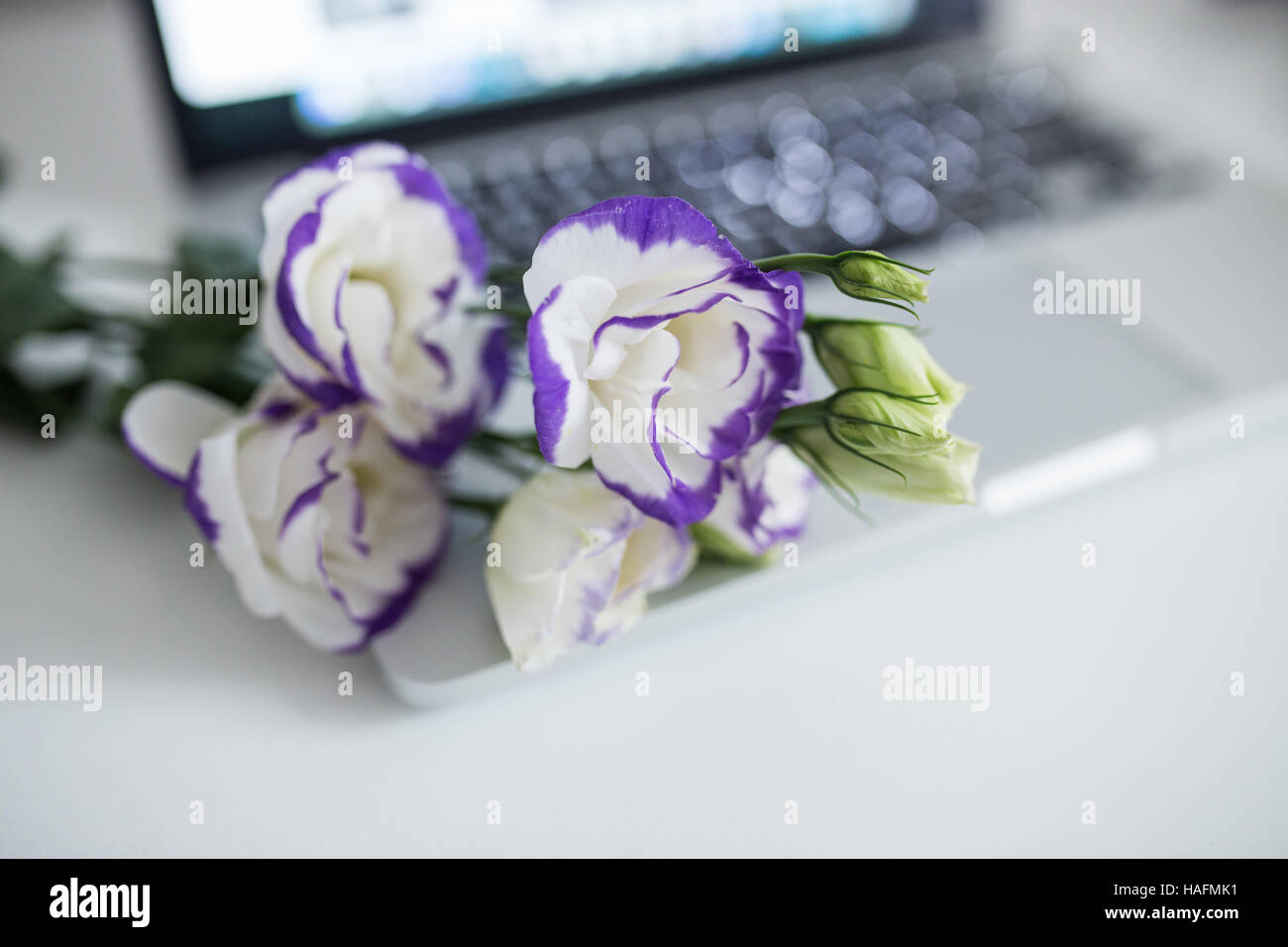 Blumen auf der Laptoptastatur Stockfoto