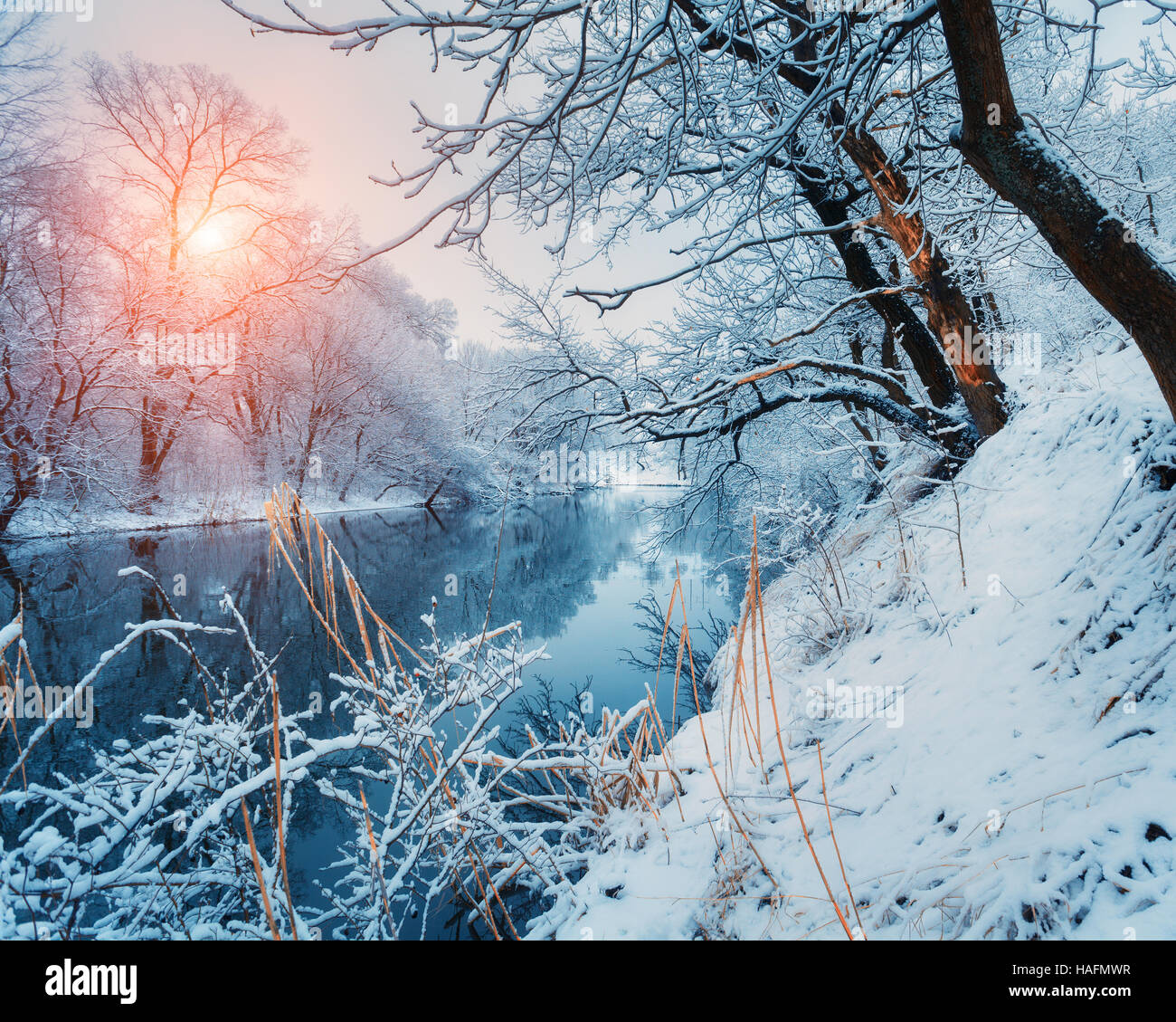 Schönen Winter im Wald am Fluss bei Sonnenuntergang. Winterlandschaft. Verschneite Äste an Bäumen, Fluss mit Spiegelung im Wasser Stockfoto