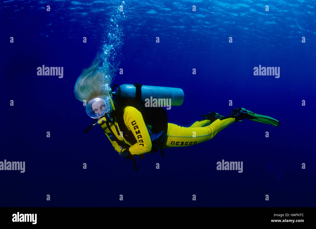 Blonde Frau trägt einen gelben Taucheranzug Tauchen in das blaue Meer, Rotes Meer, Ägypten Stockfoto