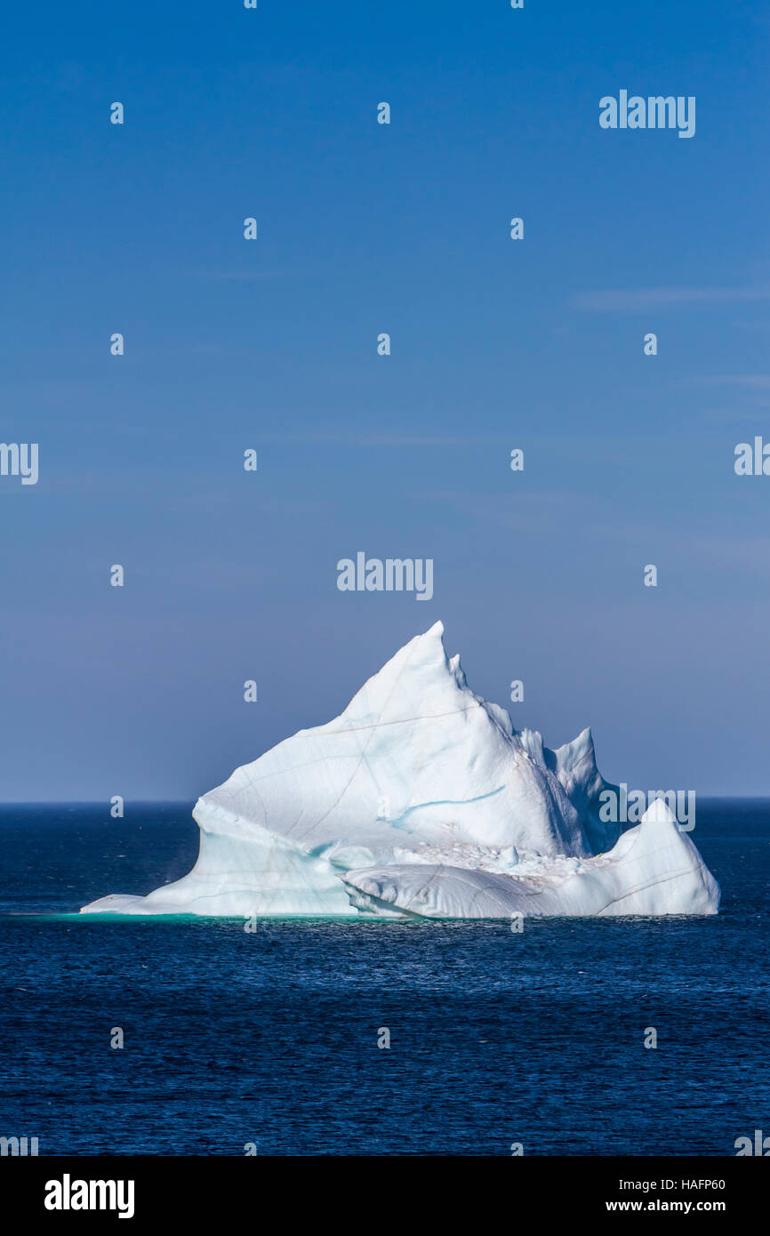 Ein Eisberg in den Gewässern vor Twillingate, Neufundland und Labrador, Kanada. Stockfoto