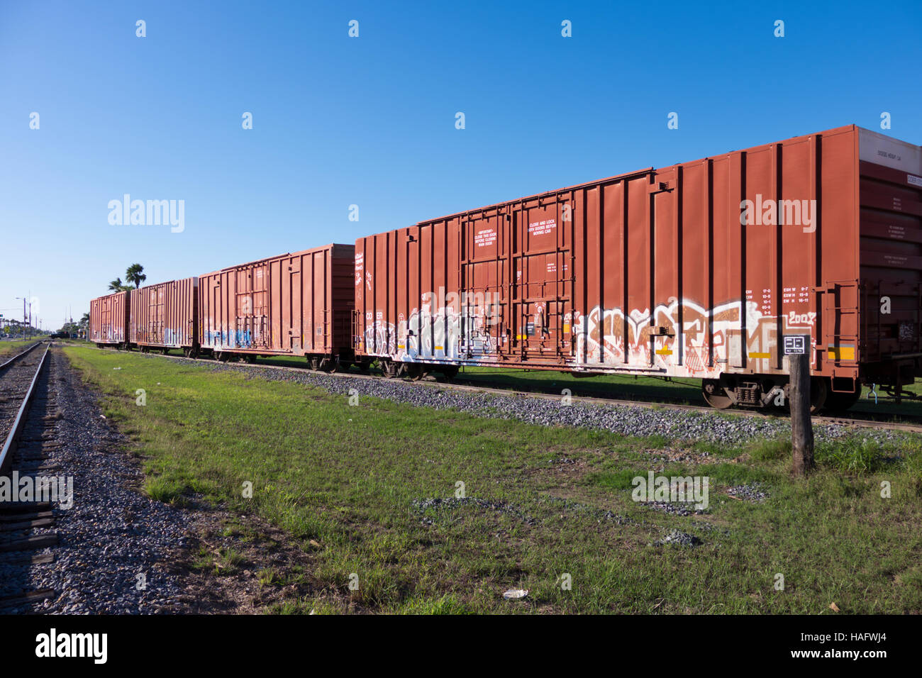 Graffiti bemalt Güterwaggons auf einen Gleisanschluss. Stockfoto