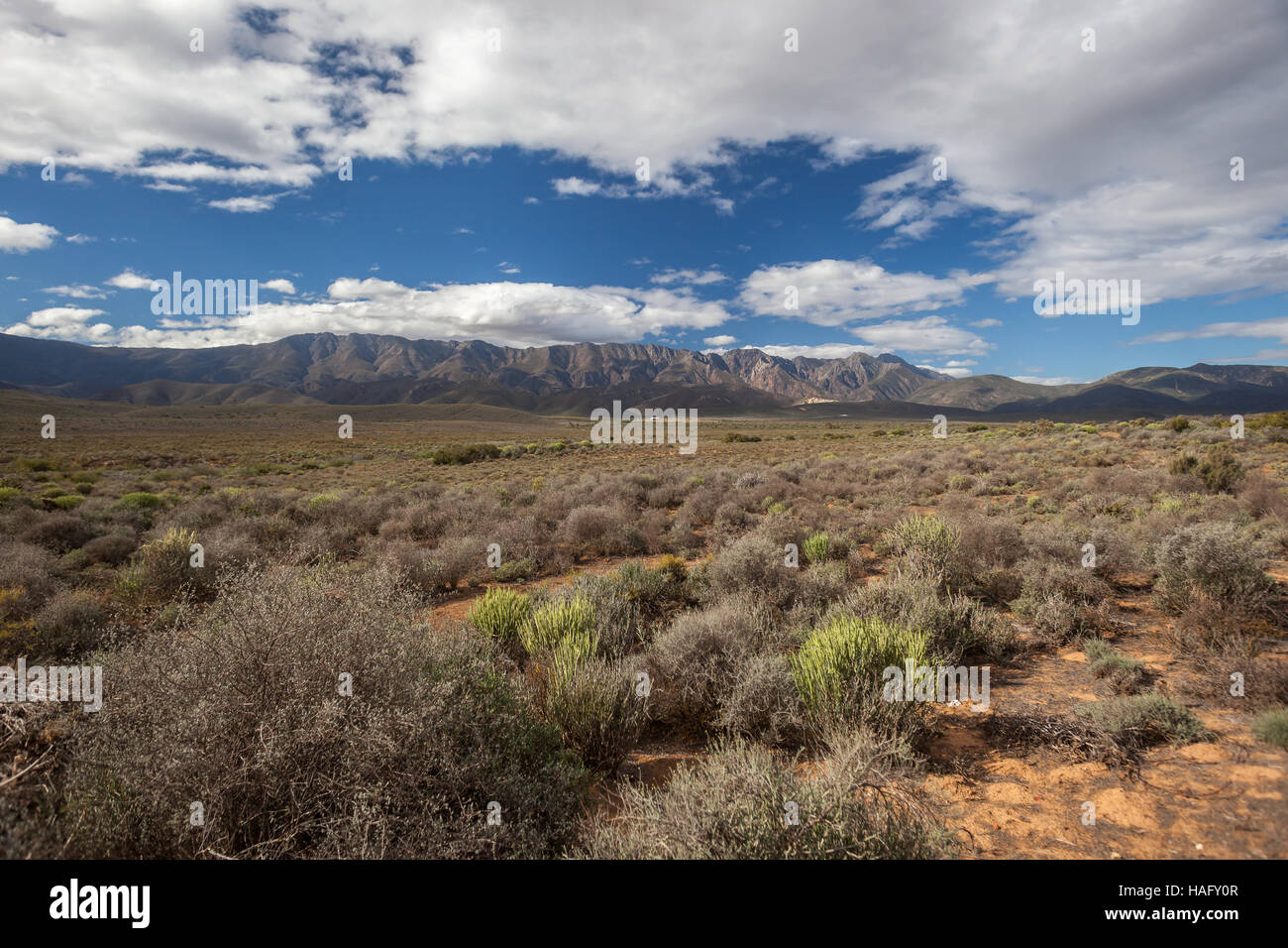 Ländliche trockene Hochebene Vegetation mit fernen Berge auf die Landschaft Stockfoto