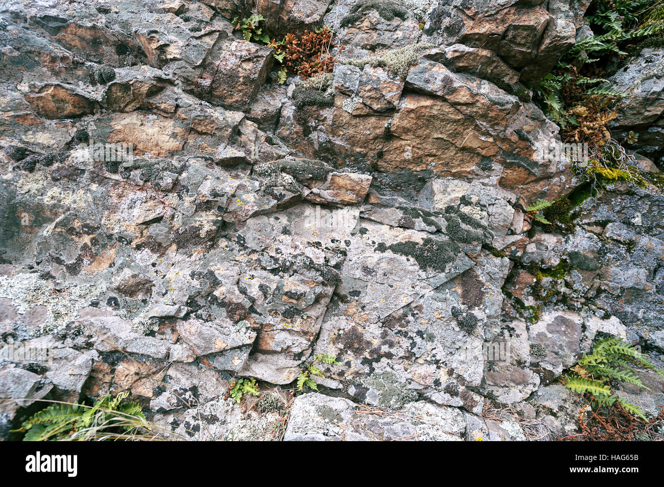 Felsigen Stein Moos bedeckt mit gefrorenen Rasen im Ural Stockfoto