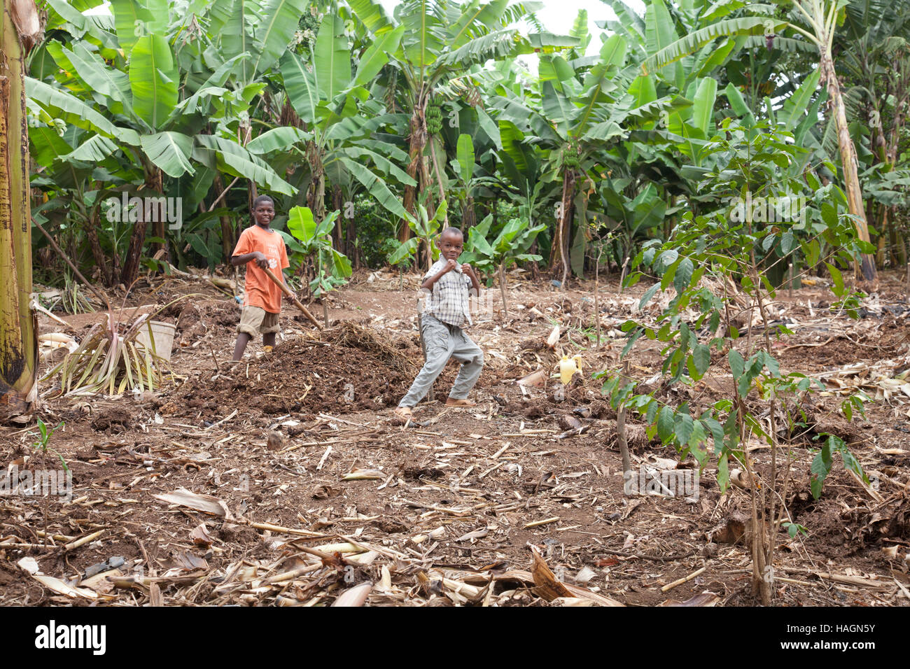 Zwei Kinder, Alter 12-14 in ländlichen Kinder in Tansania, Afrika arbeiten die Felder Stockfoto