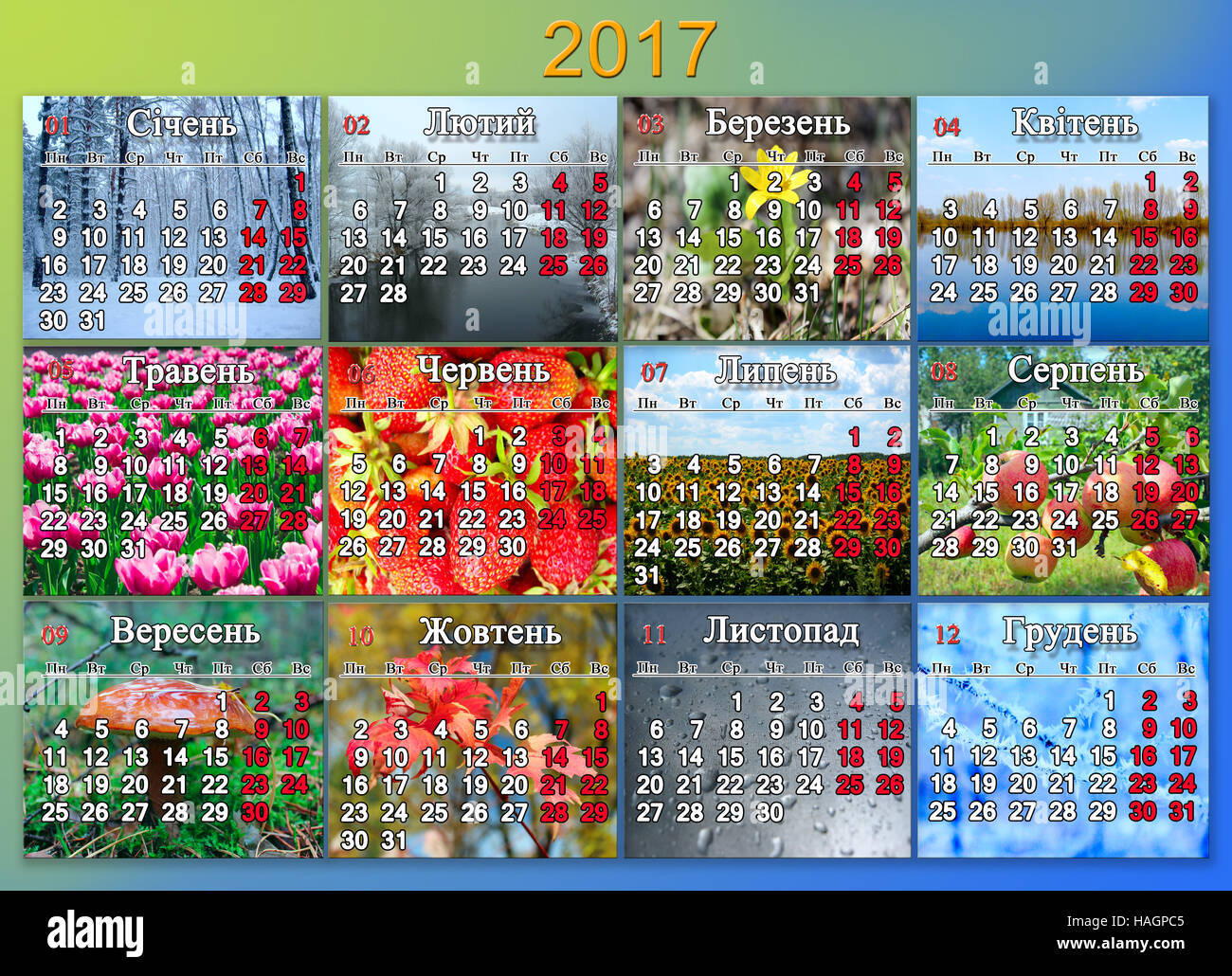 Kalender für das Jahr 2017 mit Foto der Natur für jeden Monat mit Inschriften Wochentage und Monate in ukrainischer Sprache Stockfoto